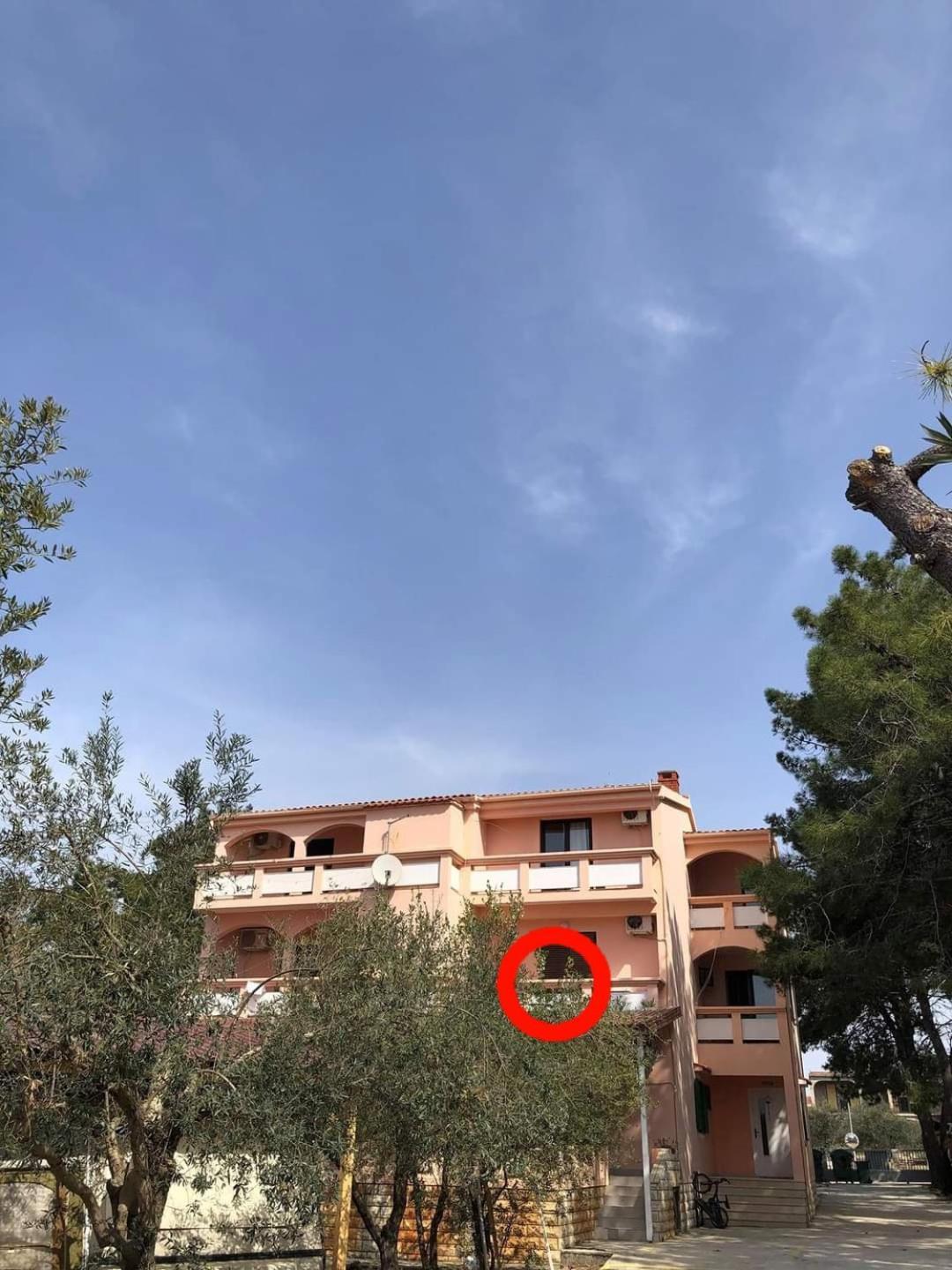 Villa Matea - Вир Экстерьер фото