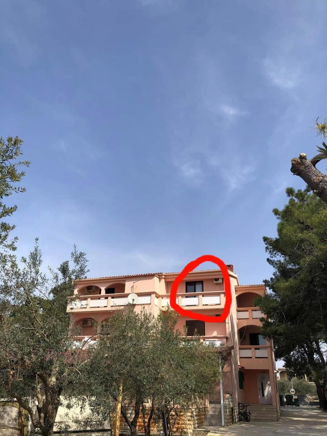 Villa Matea - Вир Экстерьер фото