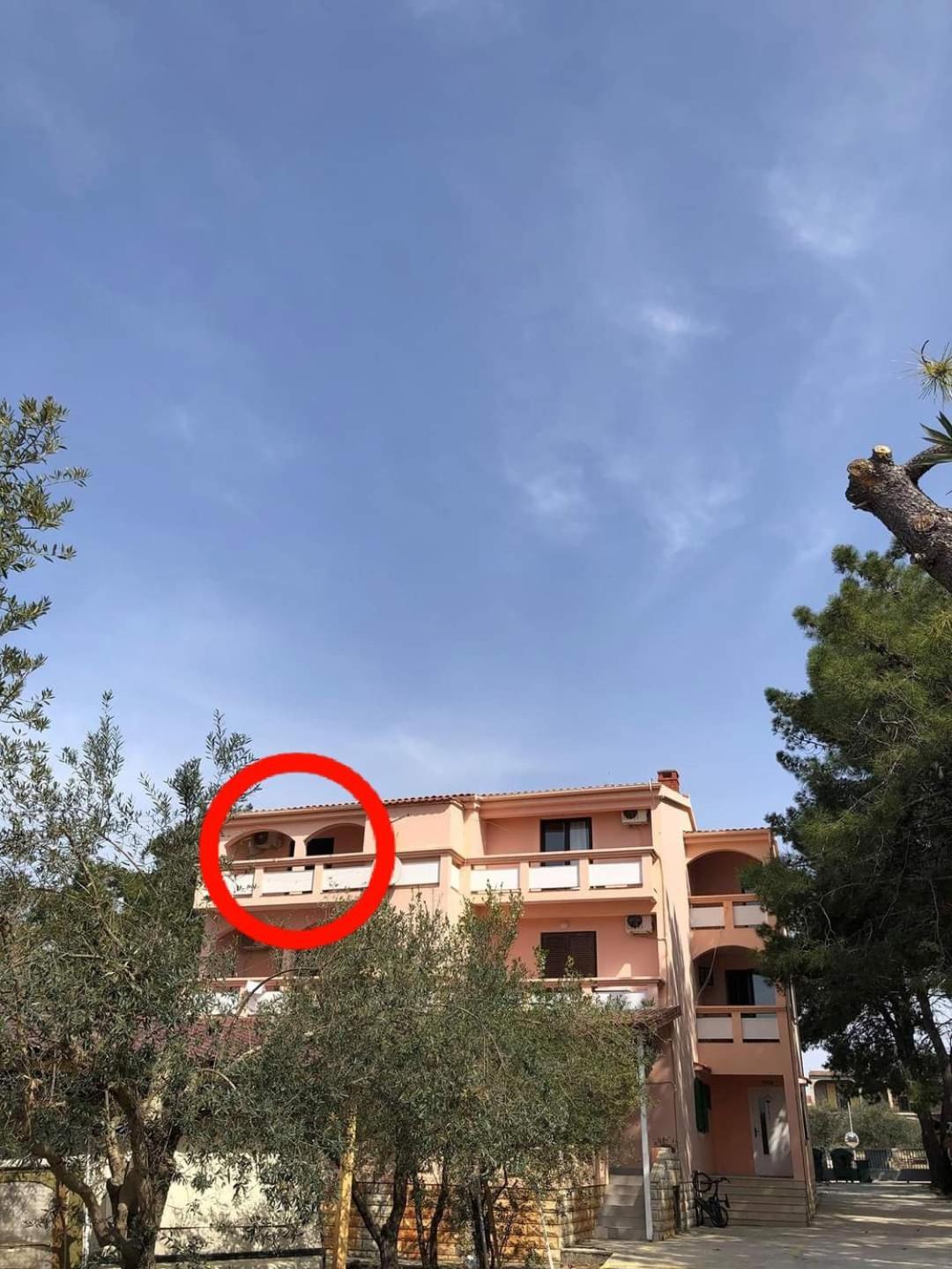 Villa Matea - Вир Экстерьер фото